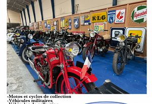 VENTE AUX ENCHERES 300 LOTS SANS PRIX DE RESERVE - CATALOGUES et LIENS 