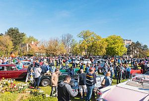 Aux marches du Palais – Rassemblement d’automobiles de collection LE TOUQUET-PARIS-PLAGE